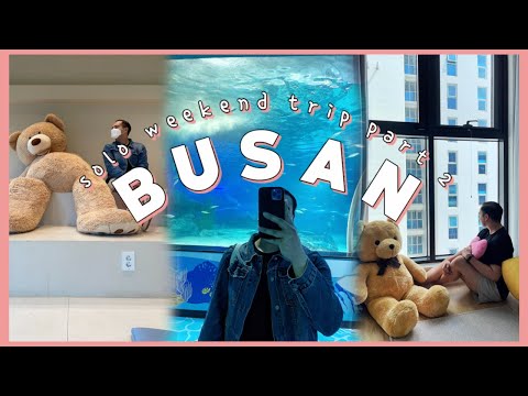 Korea vlog | Busan: cafes, shopping, and Busan Aquarium