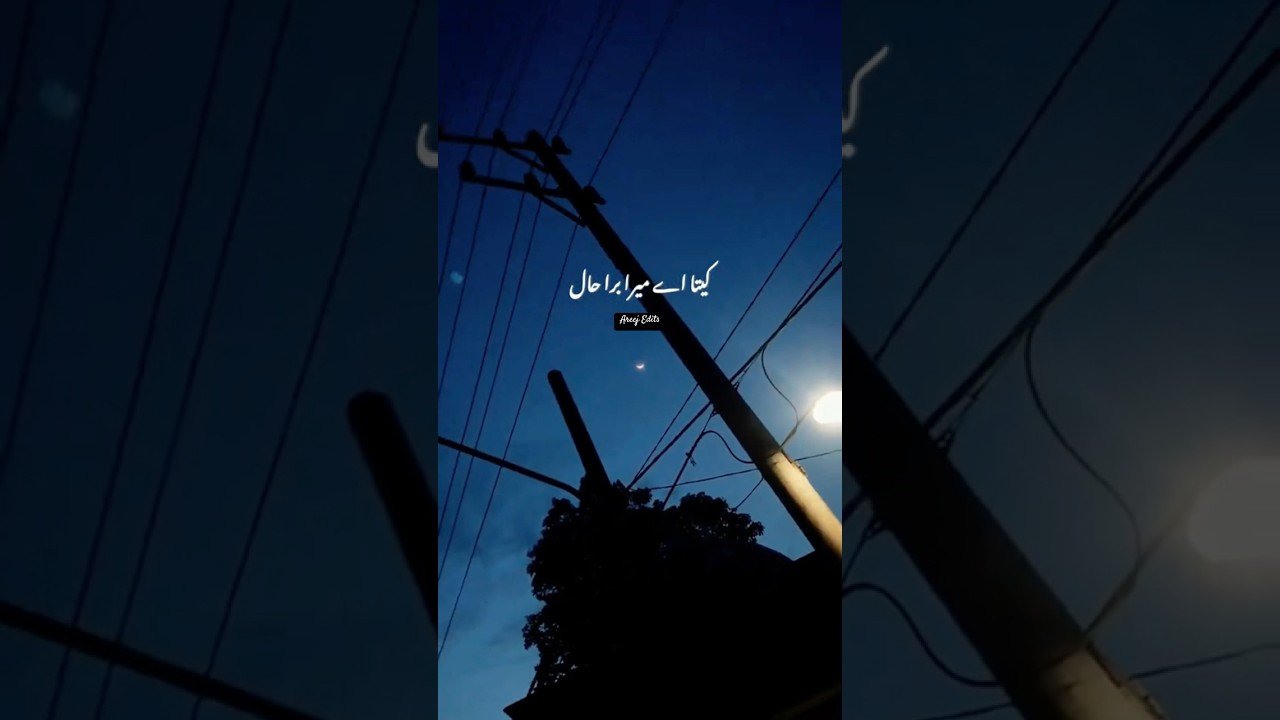 Tu mera tha kyu na raha || Laykin Lyrical Status || Ali Raza and Shjr Hussain || #sadaesthetic