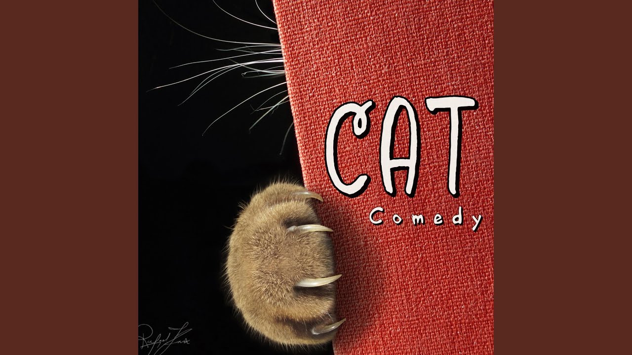 Watch Cat Comedy on YouTube Watch Cat Comedy on YouTube