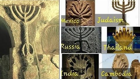 Only Collages: 2025 Highlights