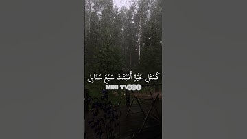 القرآن الكريم سورة البقرة الاية 261 al quran