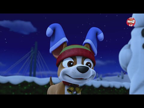 Paw Patrol, La Pat'Patrouille - La jetée de la grande vallée - La Pat'  Patrouille des mers - Extrait - Paw Patrol, la Pat'Patrouille