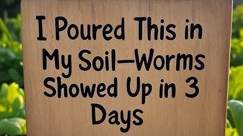 I Poured This in My Soil—Worms Showed Up in 3 Days