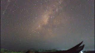 Scott Street Slowed [Instrumental]