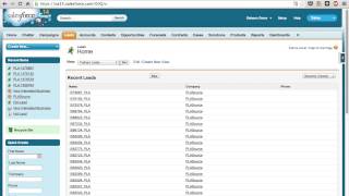 Organic search call data sent to Salesforce with Delacon's call tracking solution