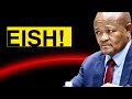 Mchunu Just Threw Ramaphosa Under the Bus