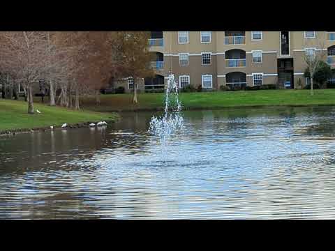 Serene Scene at Oviedo Grove Apartments with Cypress Trees, Ducks & Fabulous Fountain! Florida