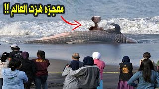 اخيراً السعودية تكشف معجزة صوت الحوت الازرق لن تصدق ماذا وجدوا  سبحان الله !!