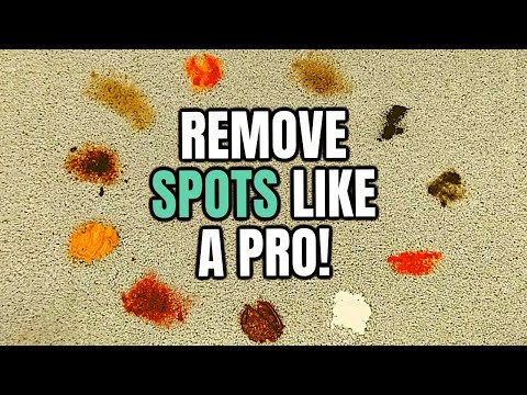 How to Remove Spots & Stains From Carpet Just Like a Professional Carpet Cleaner