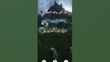 فقط استمع للقران الكريم 60 ثانيه ولك اجر عظيم 🌹🫀🌹🫀
