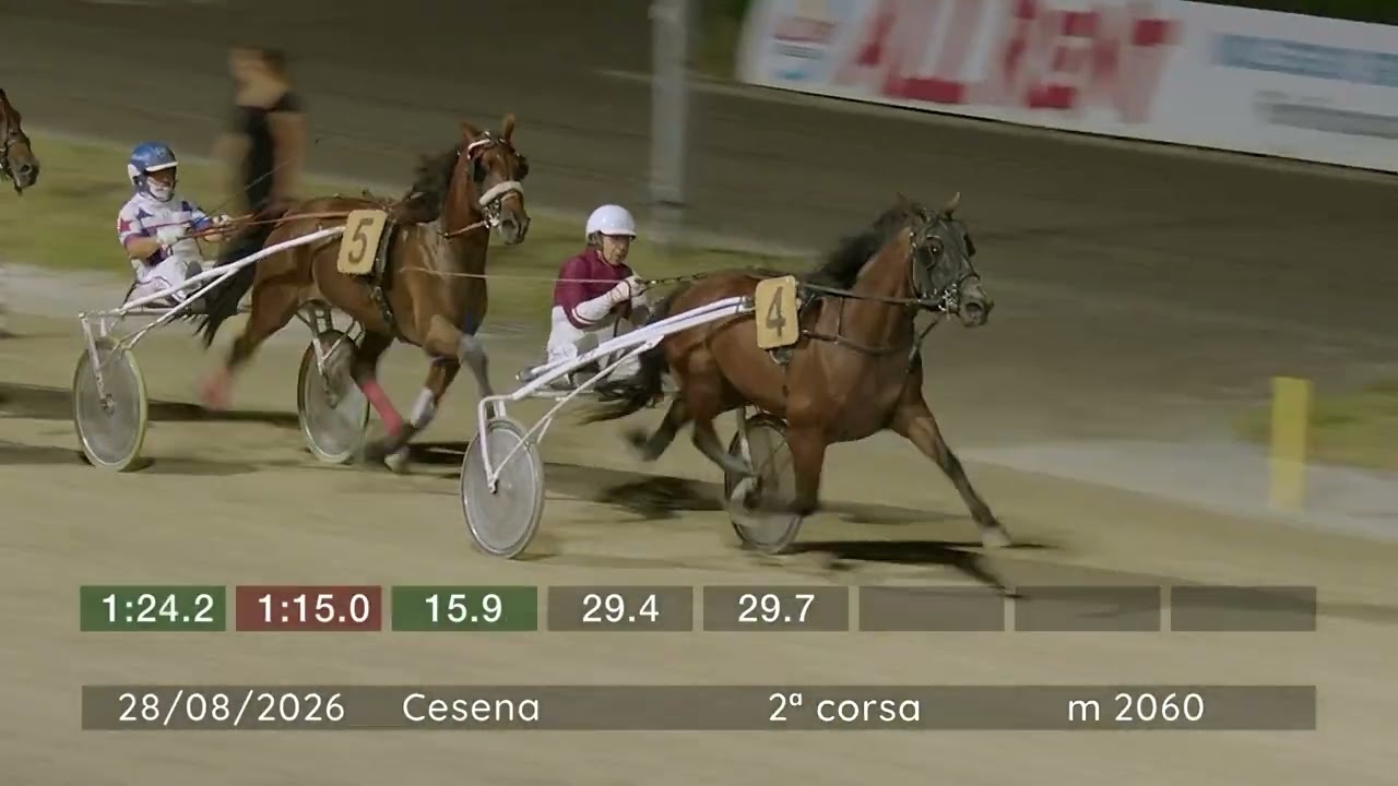 2026 08 28 | Corsa 2 | Metri 2060 | Premio Gruppo Ciclistico Ars Et Robur Cesena