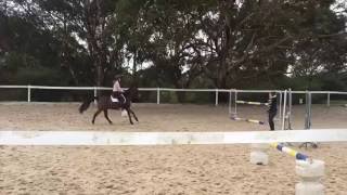 Charlie Brown - training - 1 meter