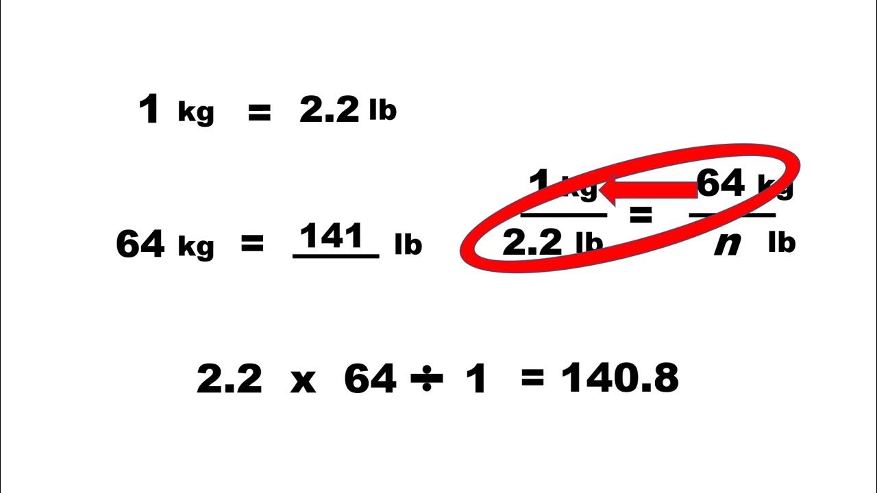 grade-6-converting-pounds-to-kilograms-youtube