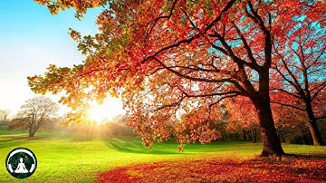 Nhạc Piano Thư Giãn, Giảm Stress và Tập Trung