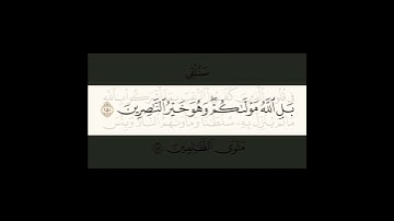 #تلاوة سنلقي في قلوب الذين كفروا الرعب #gaza #islam #islamic #الاردن