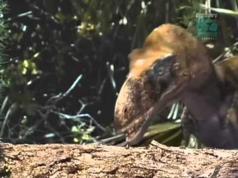 The Mystery Dinosaur PT 1 . - YouTube