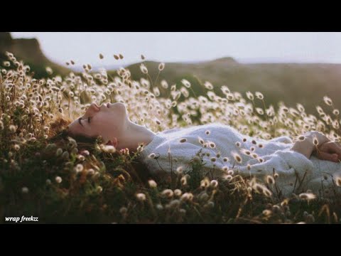 Malibu Alan Walker Remix Song Lyrics Video