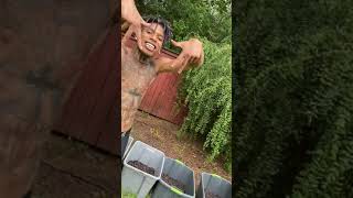 Nle Choppa Showing His Plants And Jumping Into A Pool