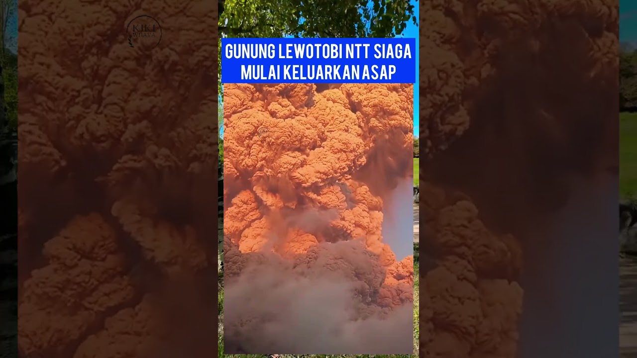 SIAGA GUNUNG LEWOTOBI NTT ERUPSI NOVEMBER 2024 #staysave #indonesia