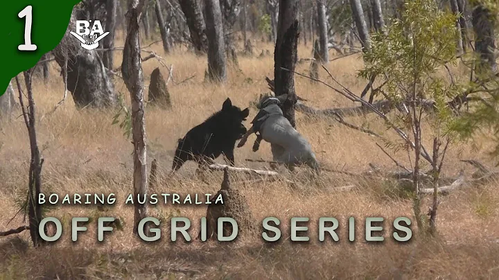 OFF GRID SERIES EP1- Pig hunting series with dogs, drones and Pulsar thermal scope