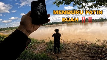 CARA / TEKNIK MEMANCING PATIN BUAH / KERAI DAN PATIN  SUNGAI PAHANG #VLOG124 /MEMBURU DI AIR KERUH