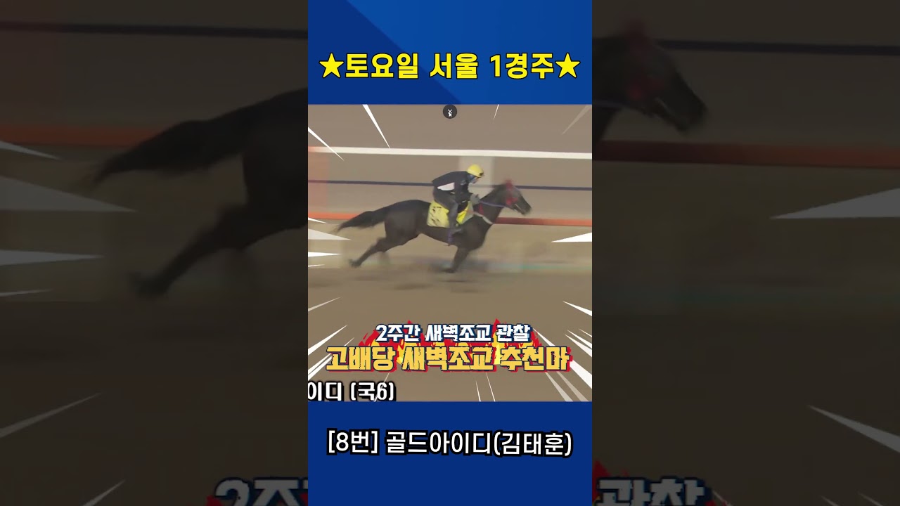 3월14일 토요일 서울 1경주!! 드디어 서울와서 우승하나요?? 2주간 훈련변화 보인 강백호의 새벽조교 쏘스마!!#강백호경마 #shorts