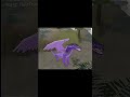 WINGS OF FIRE AU, Song: Play Pretenses- Le Grand