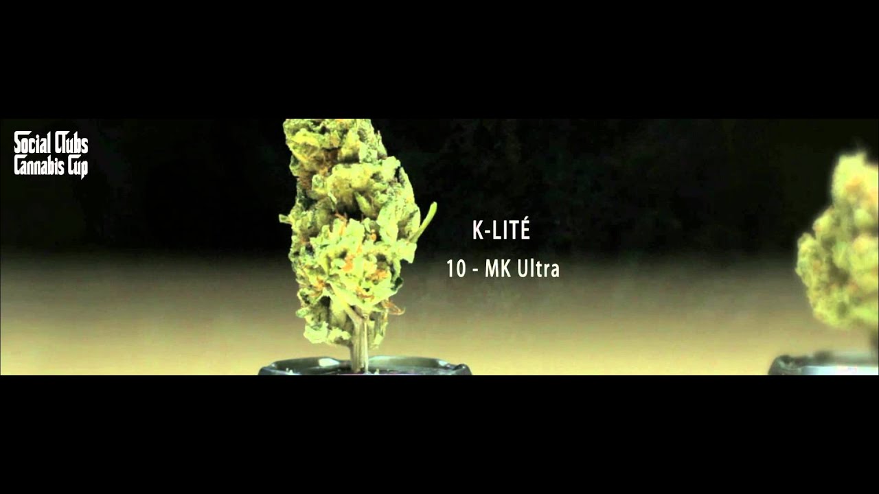 Social Clubs Cannabis Cup 2014 - Mejor Índica