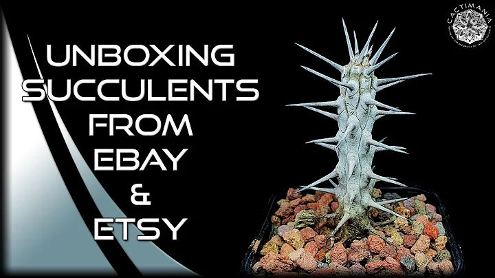 Unboxing Rare Succulents from Ebay & Etsy