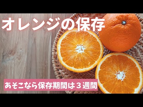 [Storing Oranges] Keep them refrigerated for up to 3 weeks! (Miyuki Shimamoto's Food Storage Tips...