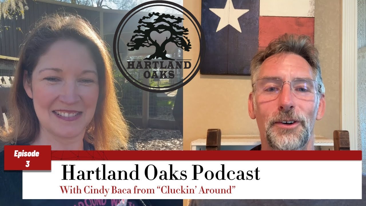 Raising Chickens | Cindy Baca of Cluckin’ Around | Hartland Oaks Podcast Ep. 3
