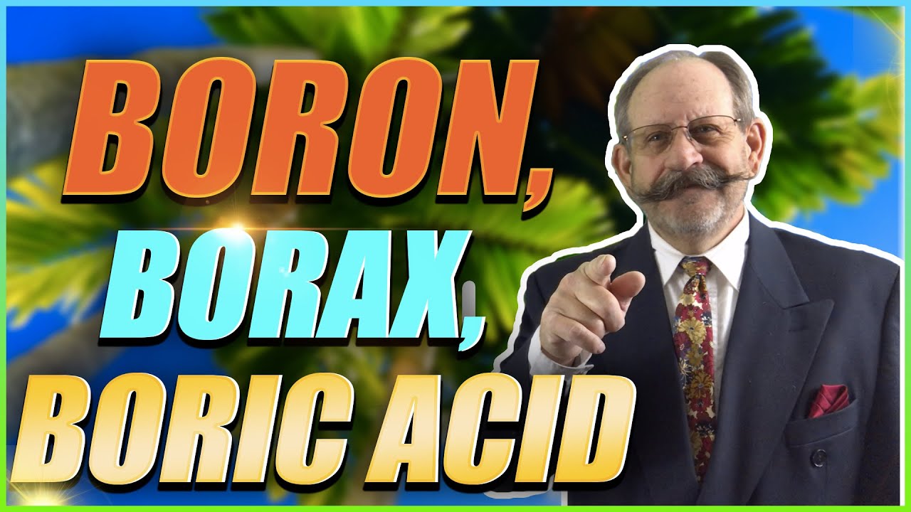 Is Boron The Same As Borax?