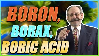 Boron and its derivatives Boric Acid & Borax