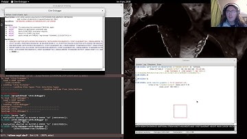 McCLIM demo (St Nicolas Day present)