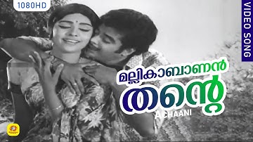 മല്ലികാബാണന്‍ തന്റെ വില്ലെടുത്തു |Mallikabalanthante - Achaani | P Jayachandran | P Madhuri