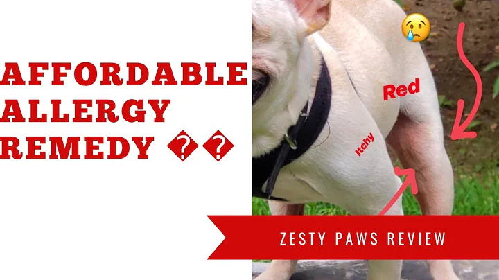 Affordable Dog Skin Allergy Remedy