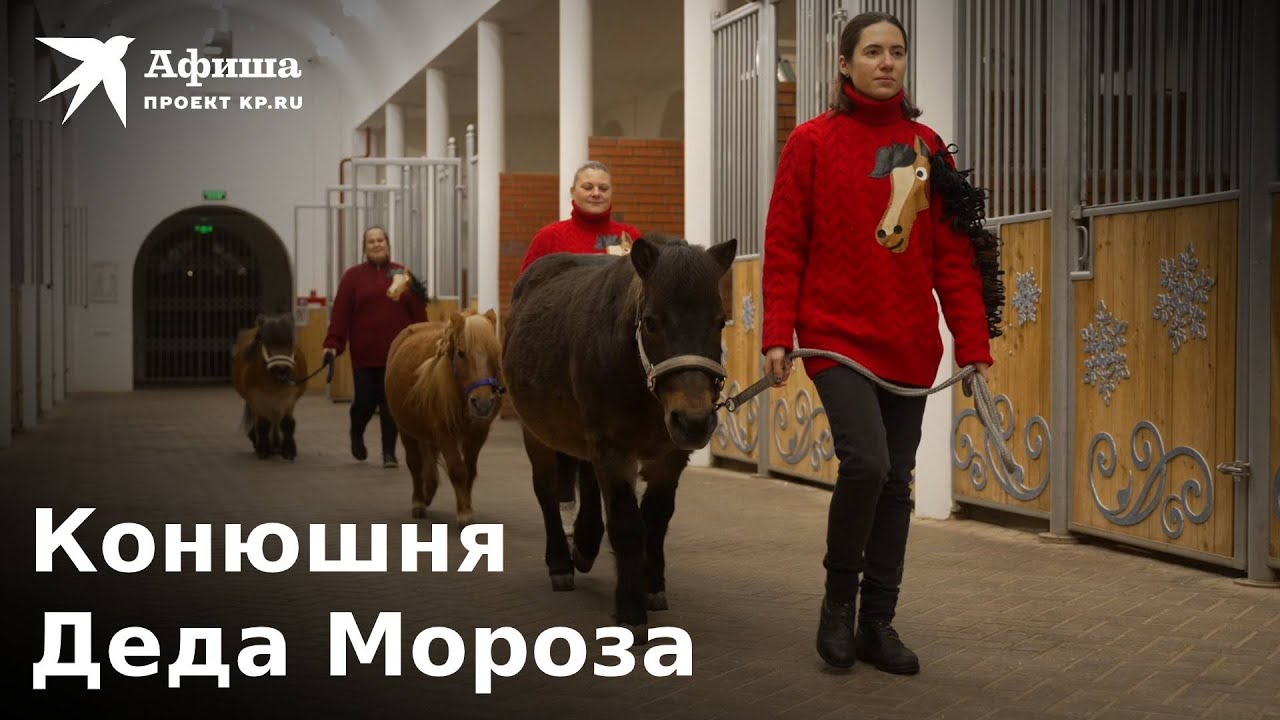 Конюшня Деда Мороза | Центр национальных конных традиций на ВДНХ - YouTube