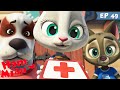 Ham miau  lulu se face doctor  desene animate in romana  heykids