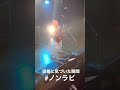 ギターソロで上を見た時に盗撮を発見する人。 #shorts #ノンラビ #ライブ