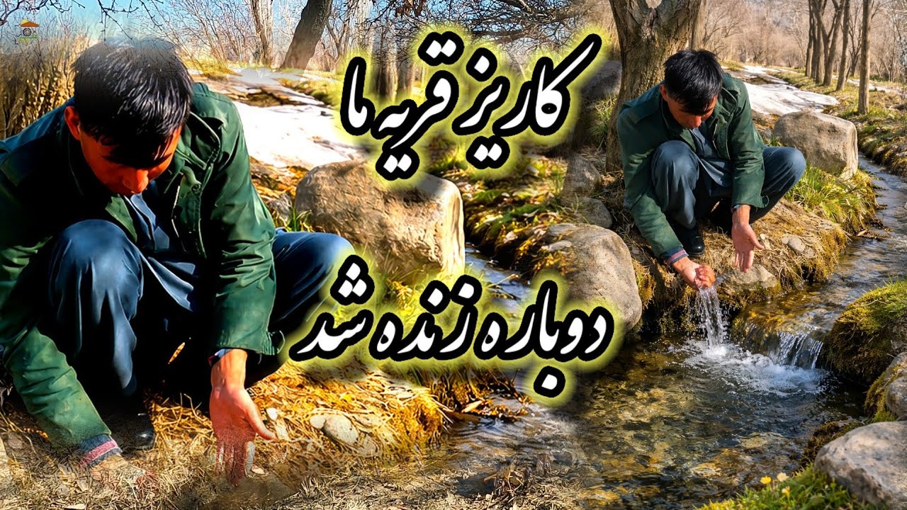 زندگی قریه ما به کاریز و چشمه قریه بستگی دارد.