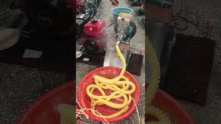 #Saves time, effort, and labor#New type of grain extruder🥰