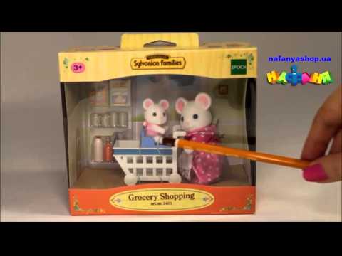 Набор Покупки в бакалейном магазине арт 2401