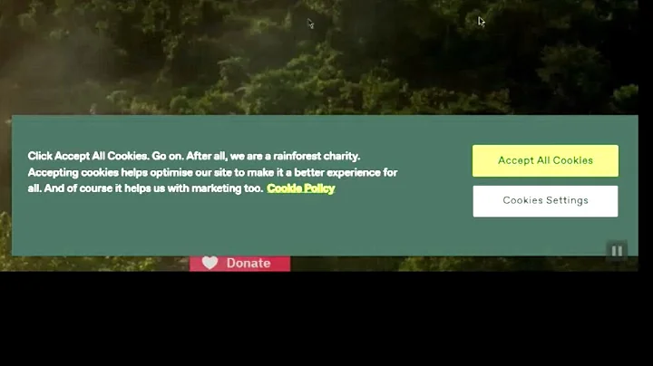 What the Tech: What are website cookies and how do they work?