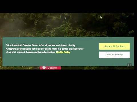 What the Tech: What are website cookies and how do they work?