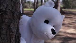 EL OSO POLAR  -  GRUPO FEROZ