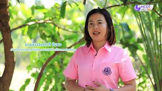คนไทยหัวใจเกษตร 20 พฤษภาคม 2564 B3