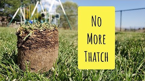 How To Get Rid Of Lawn Thatch For Good Simplified