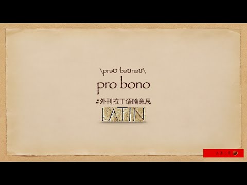 拉丁语“pro bono”啥意思？