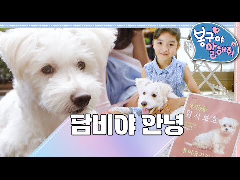 🐕<strong>담비야</strong> 안녕｜봉구야 말해줘1💘｜나영｜봉구｜바바｜2편 모아보기｜[EBS놀이터]