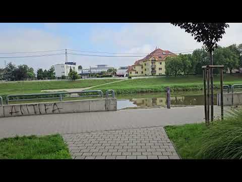 Samsung Galaxy Z Flip5 - ukázka videa [4k, 60 fps]